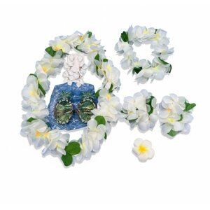 Luau Costume Set With Plumeria Accessories & Pineapple Glasses